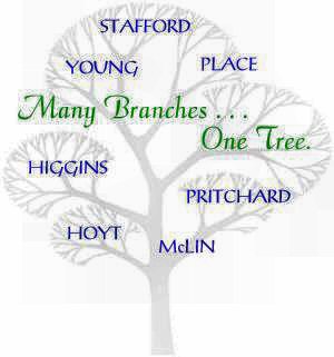 Many Branches, One Tree