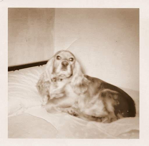 Geronimo